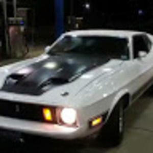 Meet your Posher, Maurice